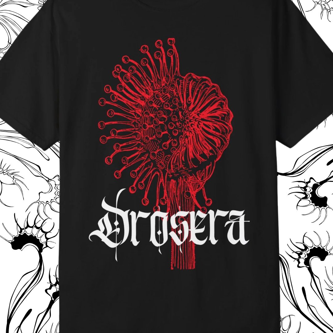 TEES π₯