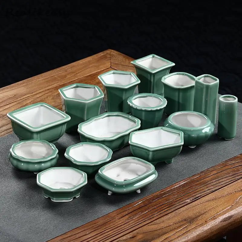 PLANT POTS π§