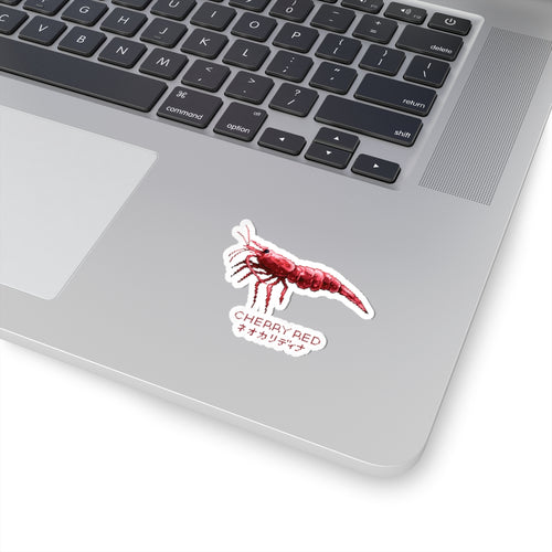 CHERRY RED STICKER