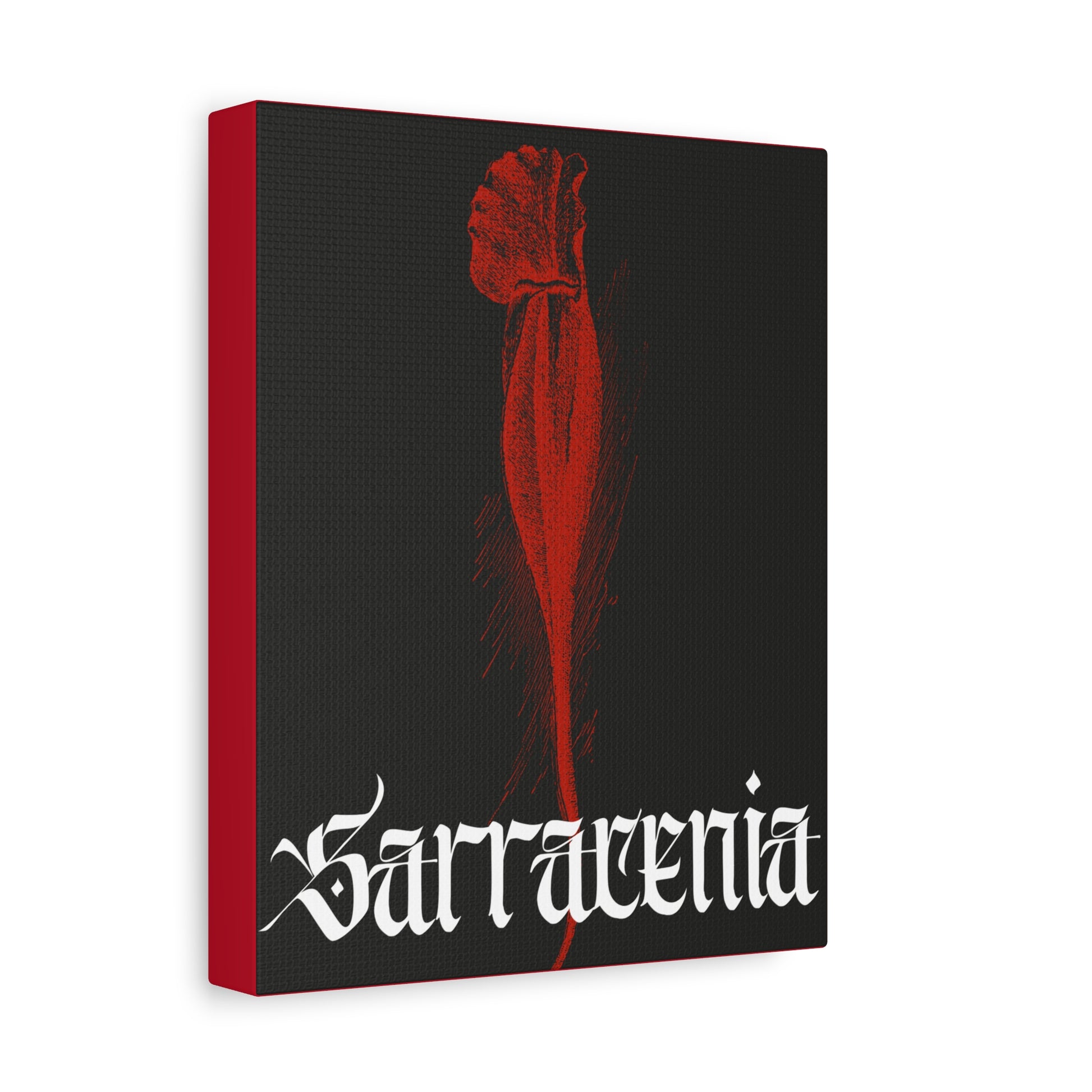 Sarracenia Canvas Print - Carnivorous Plant Art from Paradise Nature Store