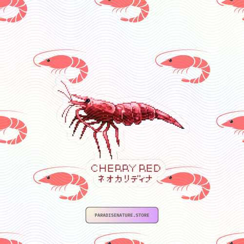CHERRY RED STICKER