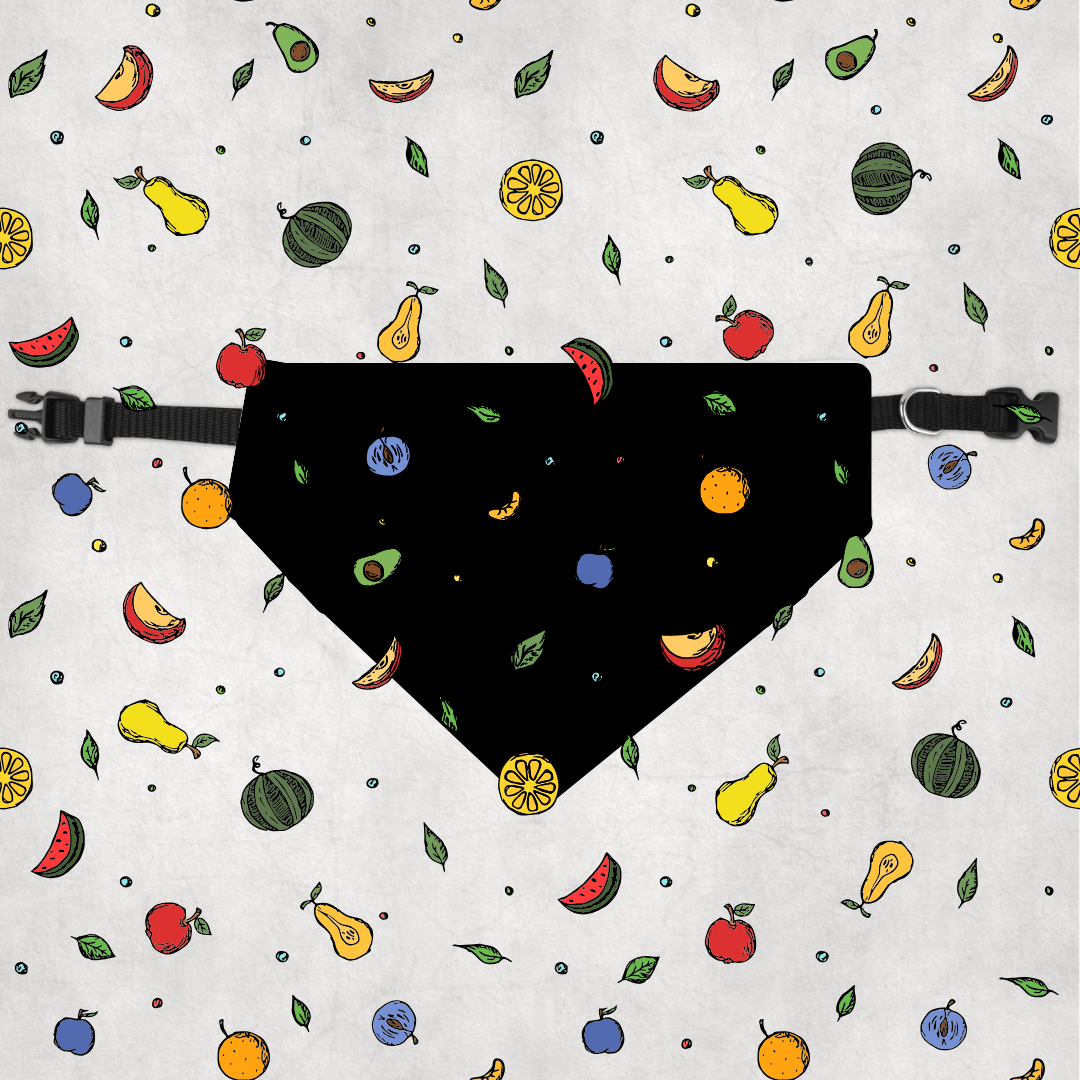 Paradise Fruit Salad Pet Bandana