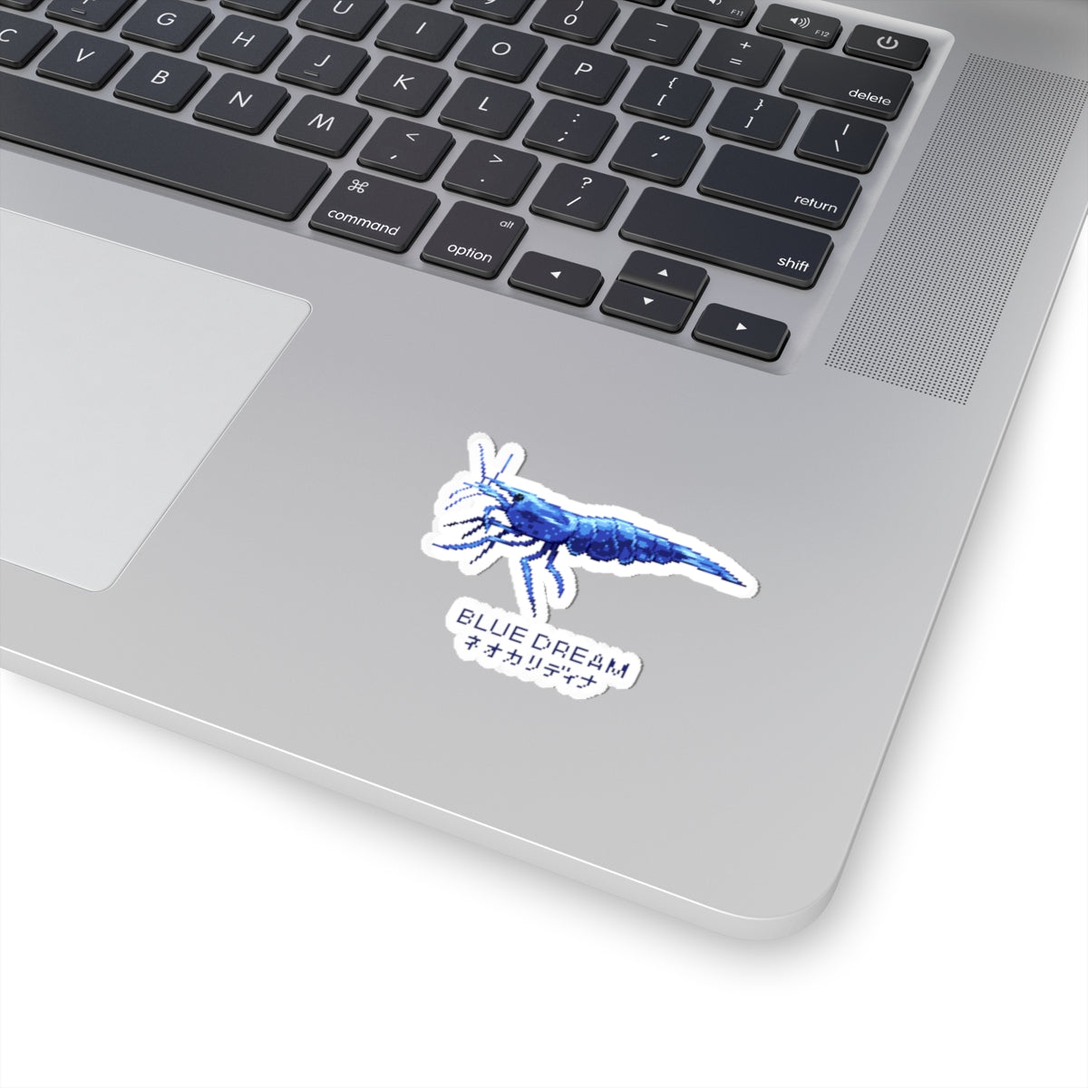 BLUE DREAM STICKER