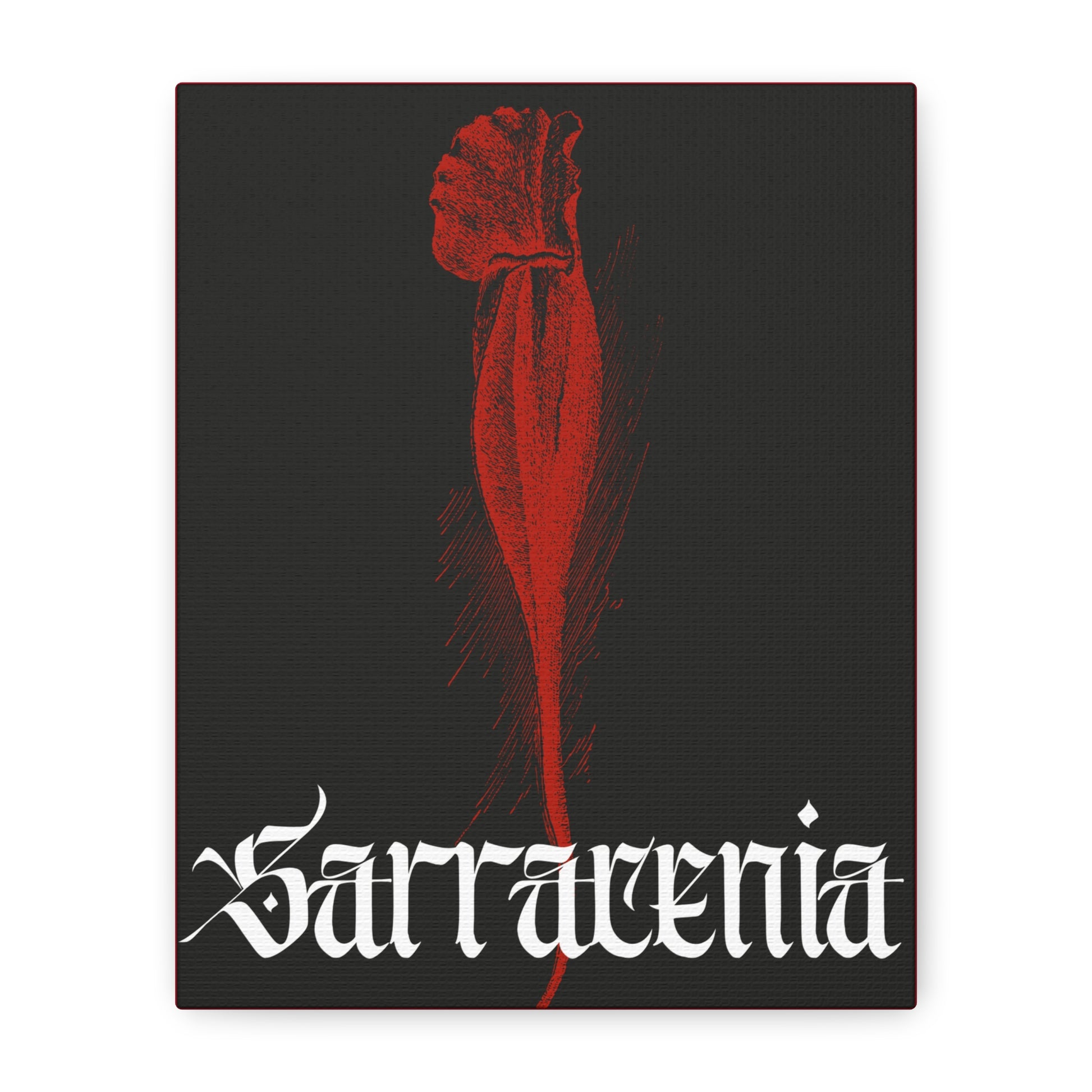 Sarracenia Canvas Print - Carnivorous Plant Art from Paradise Nature Store