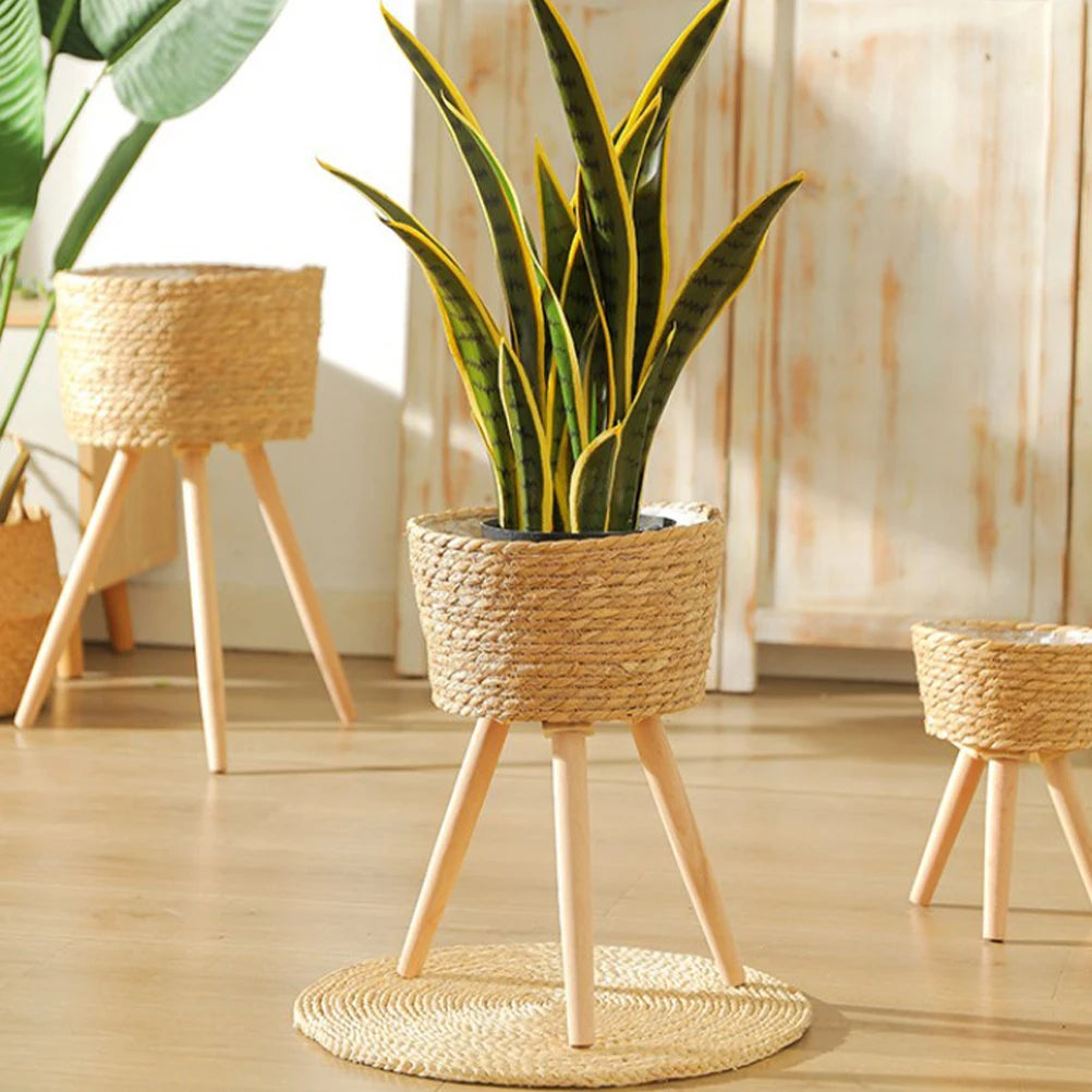 PARADISE PLANT STAND