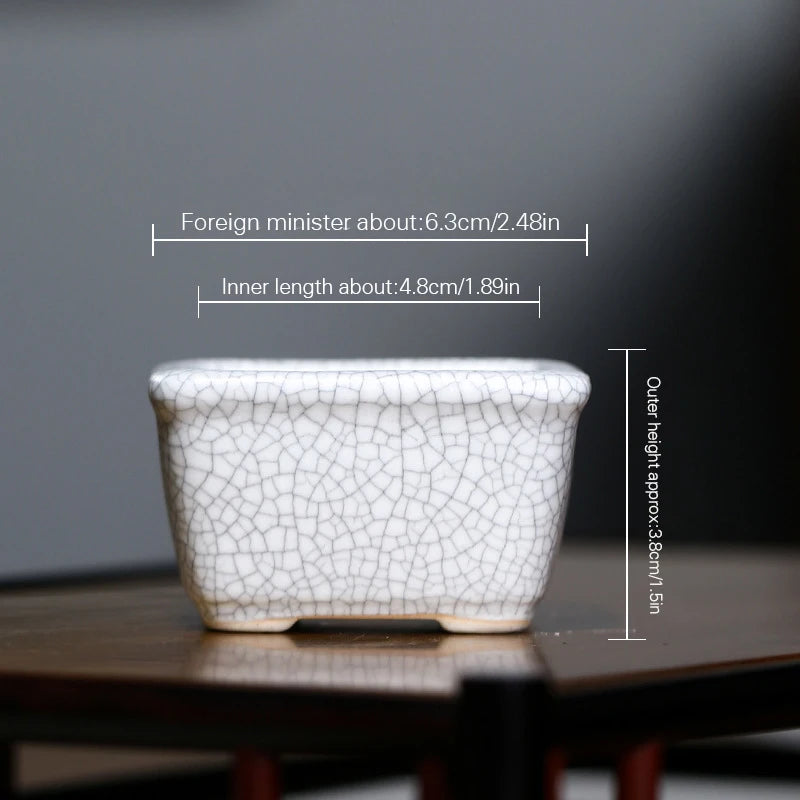 Paradise Square Bonsai Pot