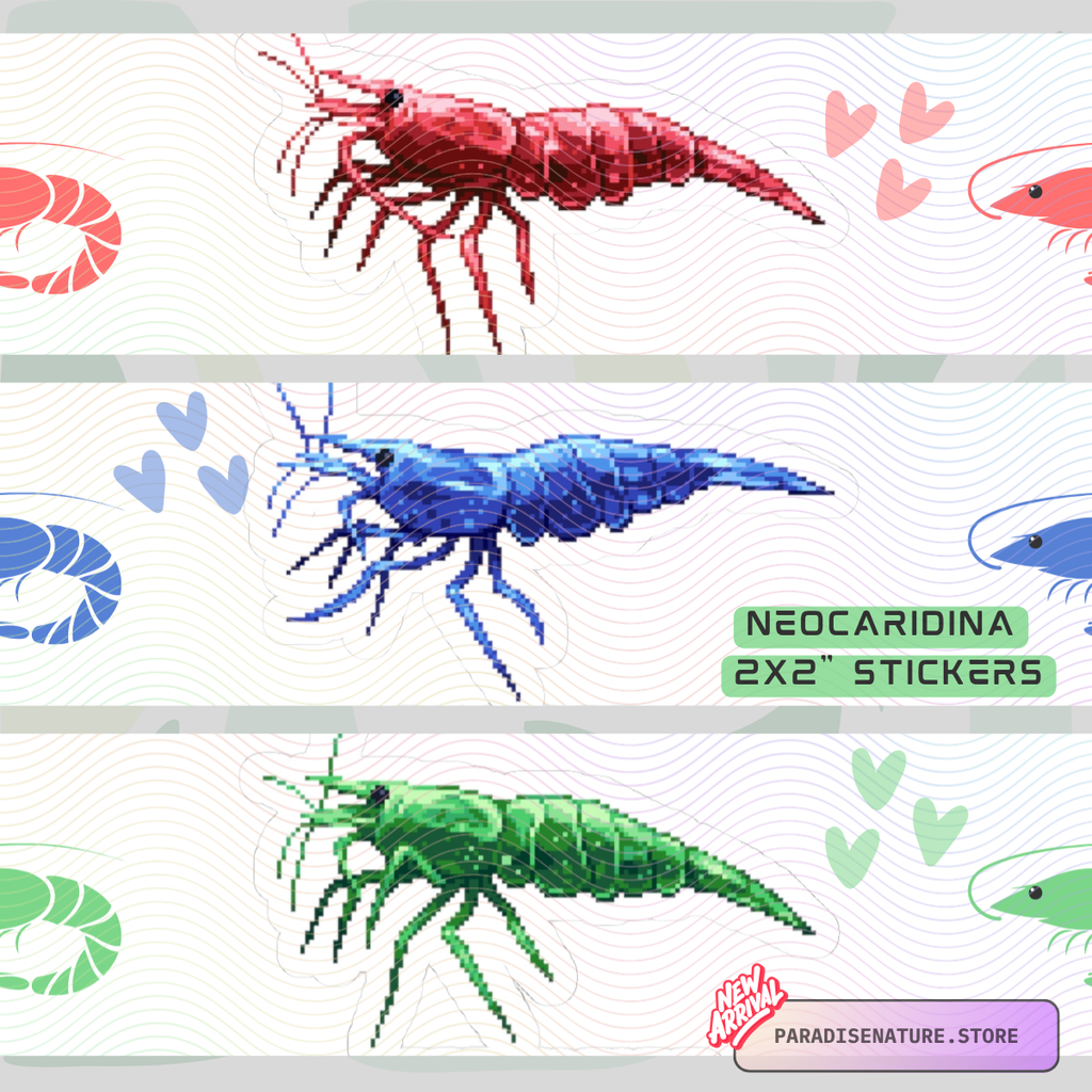 SHRIMP TRIO STICKER BUNDLE 🦐